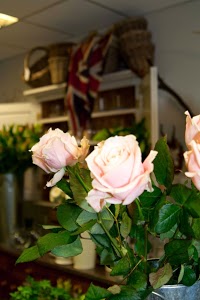 The Flower Room Berwick upon Tweed 1082453 Image 2